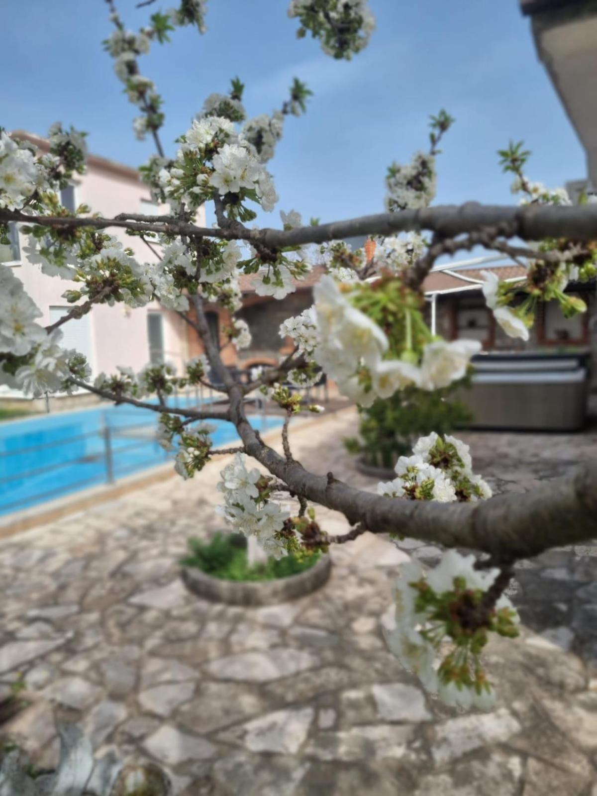 Apartamento Hacienda Kolenda Mostar Exterior foto